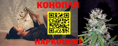 стаф Гай