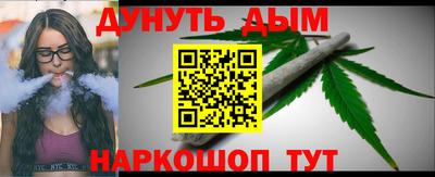 стаф Гай