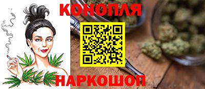 шишки Гатчина