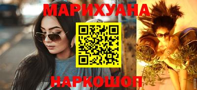 стаф Гай