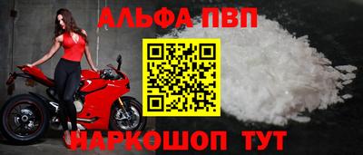 стаф Гай