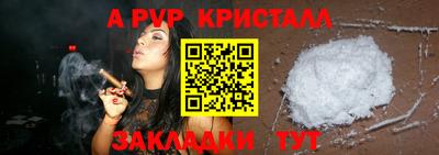 стаф Гай
