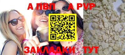 стаф Гай