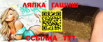 стаф Гай
