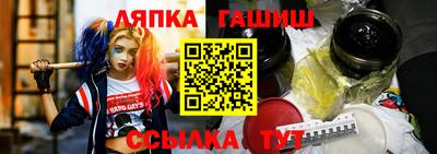 стаф Гай