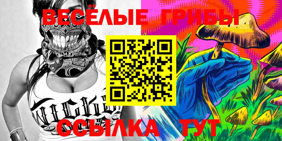 Псилоцибиновые грибы Cubensis Мценск